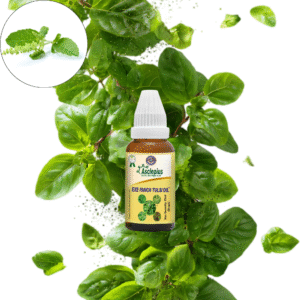 EXE PANCH TULSI (SEEDS) OIL 25 ML